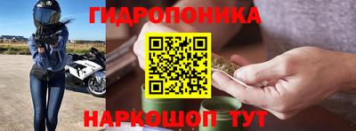 прущие грибы Краснознаменск