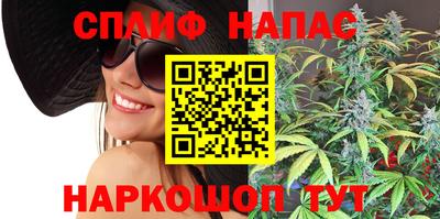 прущие грибы Краснознаменск