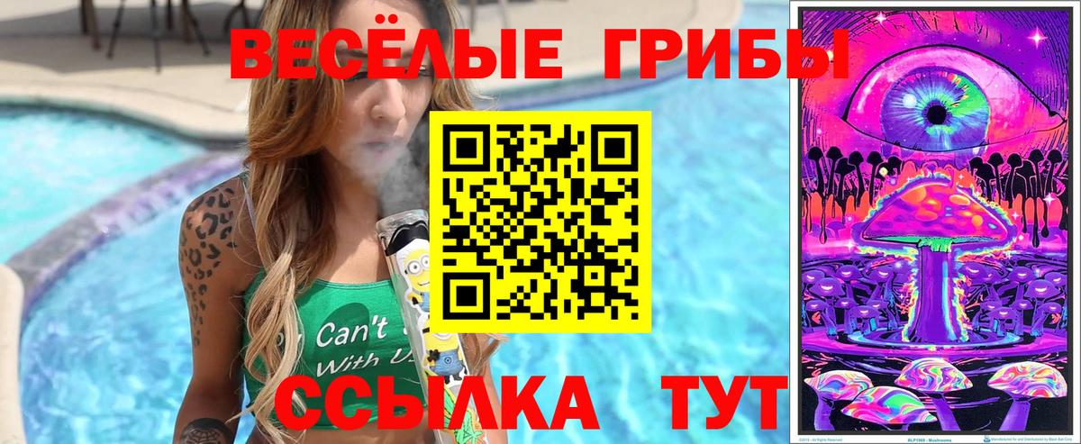 купить наркотик  Псилоцибиновые грибы Magic Shrooms  Галлюциногенные грибы MAGIC MUSHROOMS  Вход с VPN  Усолье-Сибирское 