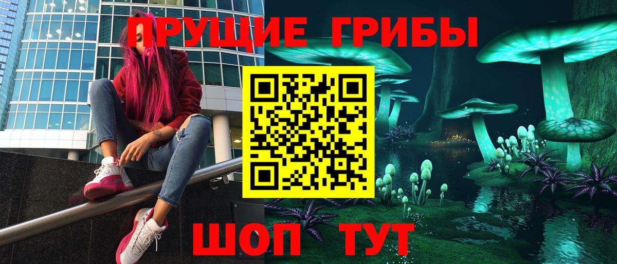 Галлюциногенные грибы Psilocybine cubensis Усолье-Сибирское